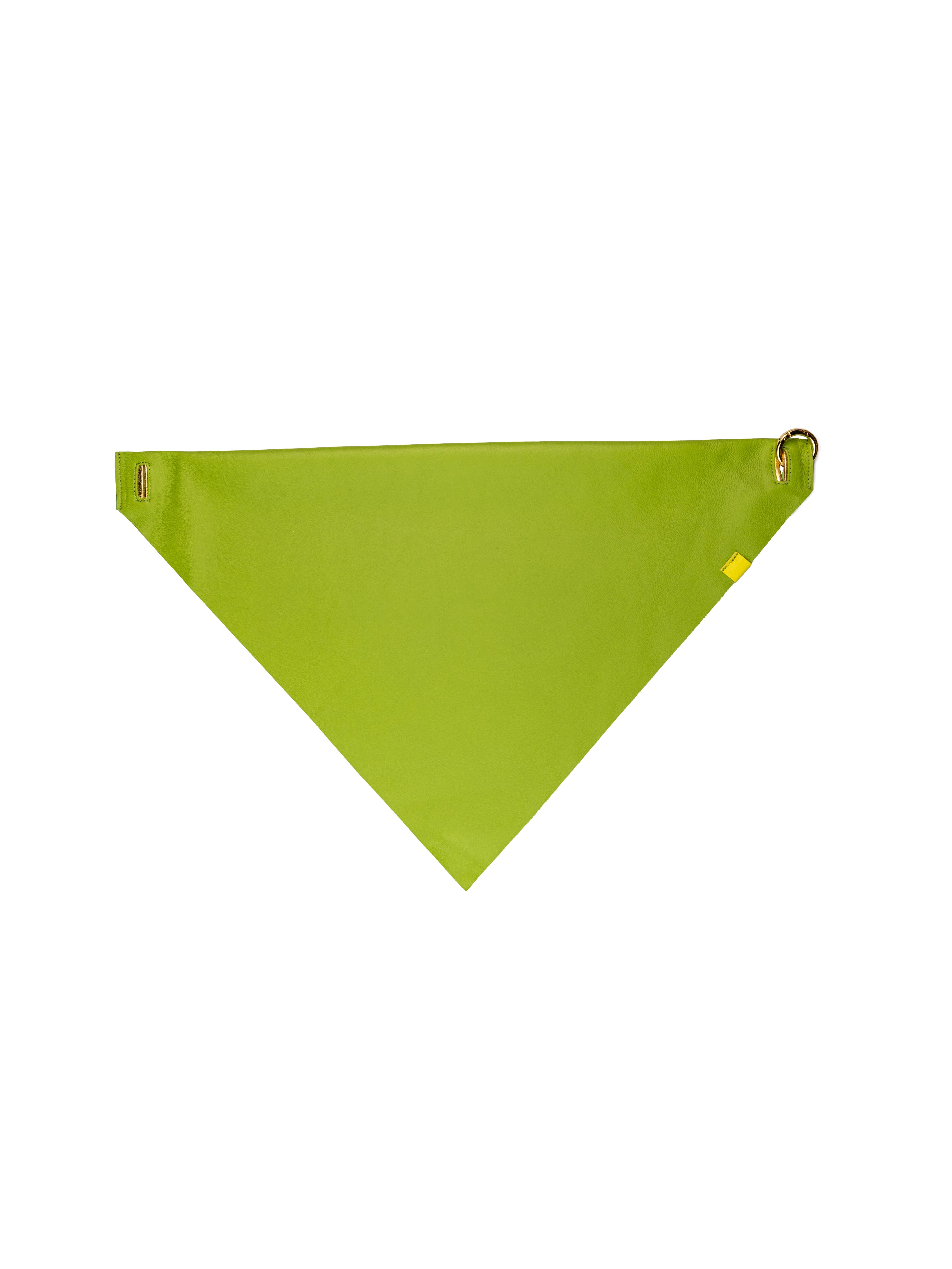 Canal Scarf – Wasabi Green